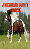 American Paint Horse