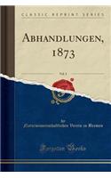 Abhandlungen, 1873, Vol. 3 (Classic Reprint)
