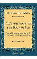 A Commentary on the Book of Job: From a Hebrew Manuscript in the University Library, Cambridge (Classic Reprint)