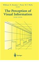 Perception of Visual Information