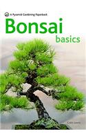 Bonsai Basics - A Comprehensive Guide to Care and Cultivation