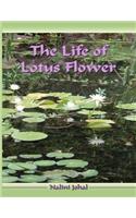 Life of Lotus Flower