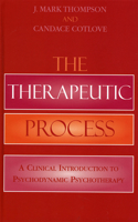 The Therapeutic Process