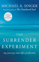 Surrender Experiment: My Journey Into Life's Perfection