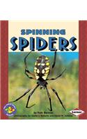 Spinning Spiders