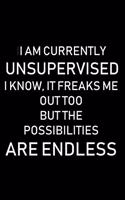 I Am Currently Unsupervised I Know, It Freaks Me Out Too But the Possibilities Are Endless: Journal Notebook for meetings, memos, office info. Ideal funny gift for a friend or colleague.