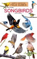 Songbirds: (North American Field Guides)