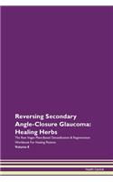 Reversing Secondary Angle-Closure Glaucoma: Healing Herbs The Raw Vegan Plant-Based Detoxification & Regeneration Workbook For Healing Patients Volume 8