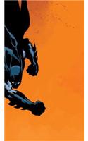 Absolute Batman Dark Victory HC