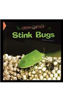 Stink Bugs