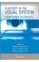 Plasticity in the Visual System