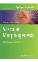 Vascular Morphogenesis