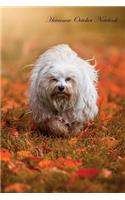 Havanese October Notebook Havanese Record, Log, Diary, Special Memories, To Do List, Academic Notepad, Scrapbook & More