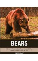 Bears