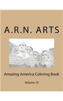 Amazing America Coloring Book