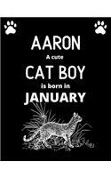 AARON a cute cat boy is born in January