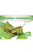 Becoming a Grasshopper: (Changing Animals)