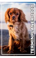 Terminplaner 2020: Jahresplaner von September 2019 bis Dezember 2020 mit Hund - Planer mit 174 Seiten in weiß im Format A5 mit glänzendem Soft Cover.