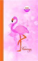 Flamingo School Days