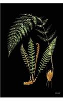 Journal: Vintage Nature Art Print (1), 6" x 9" - Journal (Sketchbook, Notebook) (Journals)-(Unruled Blank Journal)