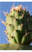 Prickly Pear Cactus Fruit in the Desert Journal: Take Notes, Write Down Memories in This 150 Page Lined Journal