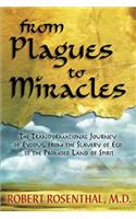 From Plagues to Miracles