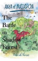Battle in Shadow Forest
