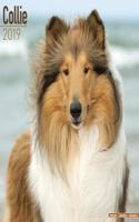 Collie Calendar 2019