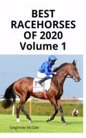 Best Racehorses of 2020 Volume 1