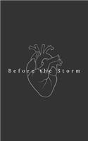 Before the Storm