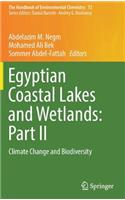 Egyptian Coastal Lakes and Wetlands: Part II