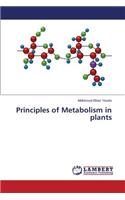 Principles of Metabolism in plants