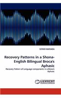 Recovery Patterns in a Shona- English Bilingual Broca's Aphasic
