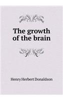 The Growth of the Brain