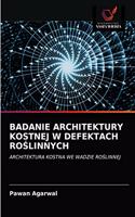 Badanie Architektury Kostnej W Defektach RoŚlinnych