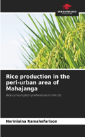 Rice production in the peri-urban area of Mahajanga