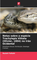 Notas sobre a espécie Trachylepis Vittata (Olivier, 1804) no Irão Ocidental