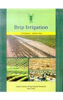 Drip Irrigation