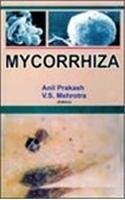 Mycorrhiza