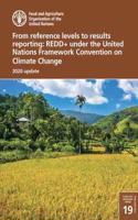 From reference levels to results reporting: REDD+ under the United Nations Framework Convention on Climate Change, 2020 update(19 Forestry working paper)