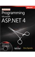 Programming Microsoft Asp.Net 4