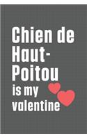 Chien de Haut-Poitou is my valentine