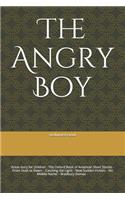 The Angry Boy: Great story for children - The Oxford Book of American Short Stories - From Dusk to Dawn: - Catching the Light: - New Sudden Fiction: - No Middle Na