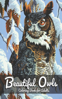 Beautiful Owls Coloring Book For Adults