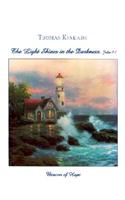 Lighthouse Merchandise Bag 250pk: 20 X 23.5 2.00 Mil Thickness