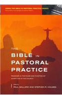 Bible in Pastoral Practice