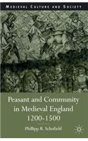 Peasant and Community in Medieval England, 1200-1500