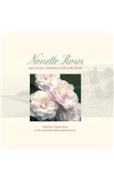 Noisette Roses