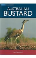 Australian Bustard