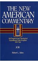 Job: An Exegetical and Theological Exposition of Holy Scripture Volume 11(New American Commentary)